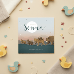 Geboortekaartje zusje sterren beren familie groot gezin