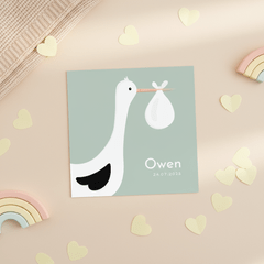 Lief geboortekaartje met ooievaar en baby jongen 