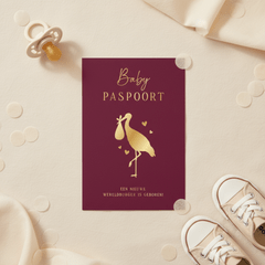 Origineel geboortekaartje paspoort met goudfolie ooievaar