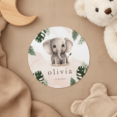 Rond geboortekaartje lief olifantje roze jungle thema