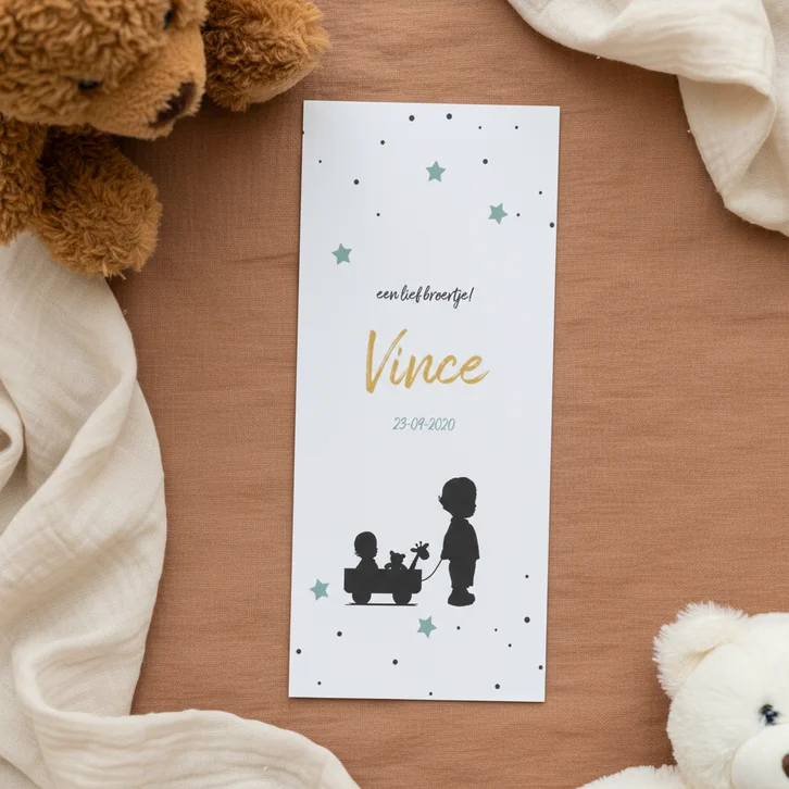 Broer met baby in kar