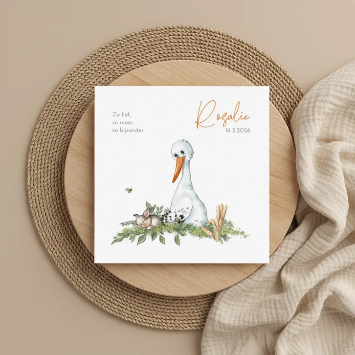 Geboortekaart ooievaar met konijntje