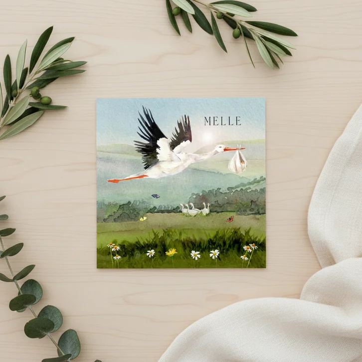 Geboortekaart ooievaar met lieve baby