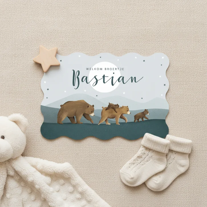 Geboortekaartje beren familie broertje schattig dieren maan