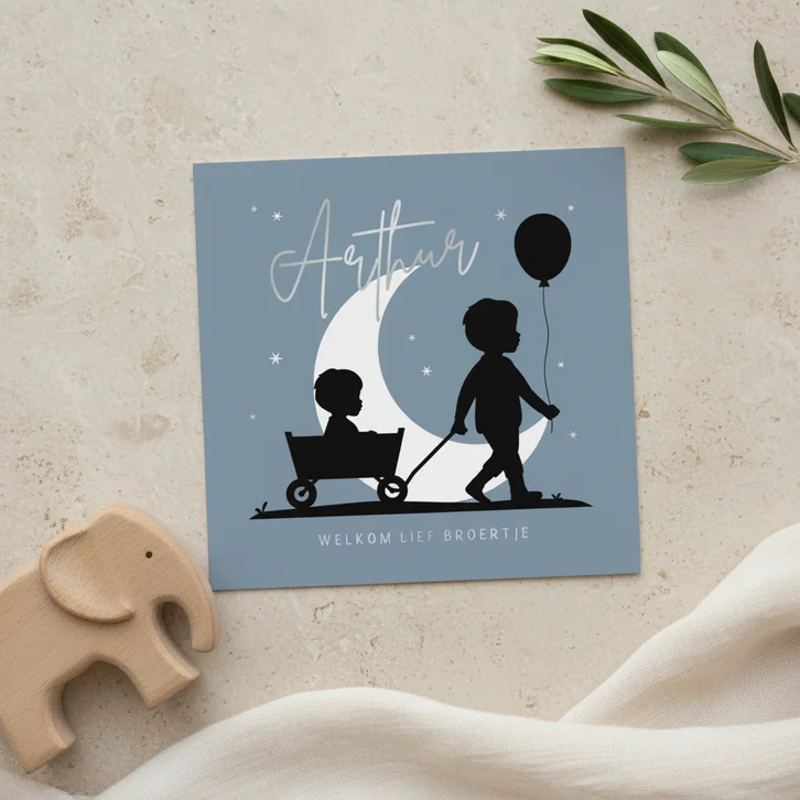 Geboortekaartje bolderkar broertje silhouet maan 