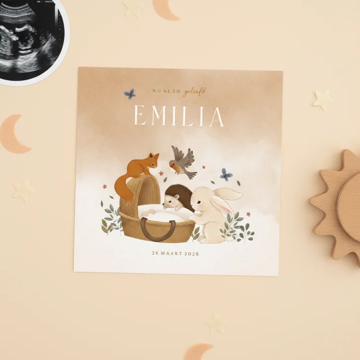 Geboortekaartje bosdieren konijn egel eekhoorn vogel wiegje