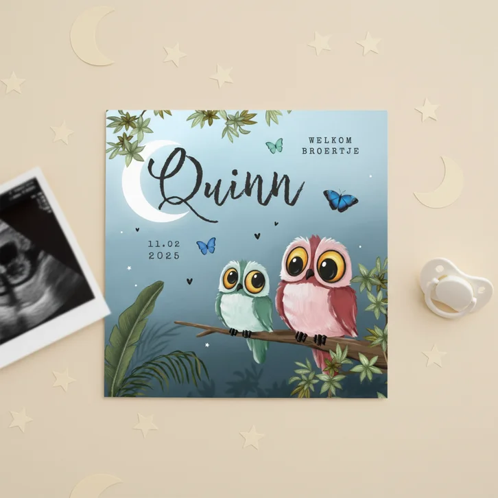 Geboortekaartje broertje zus uil vlinder jungle boom sterren