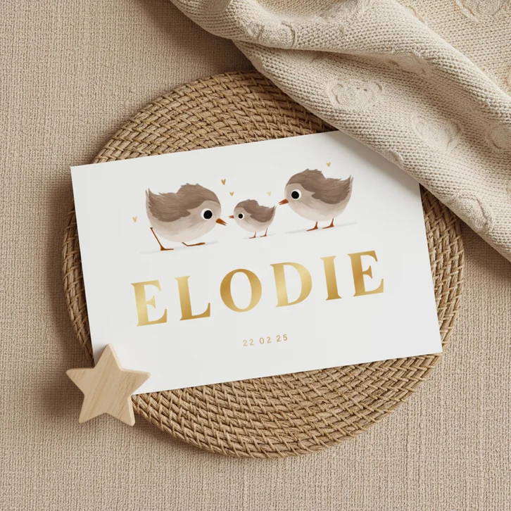 Geboortekaartje derde broertje of zusje met vogeltjes