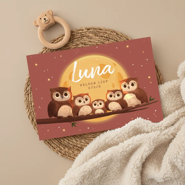 Geboortekaartje derde kindje uilen familie dieren maan ster