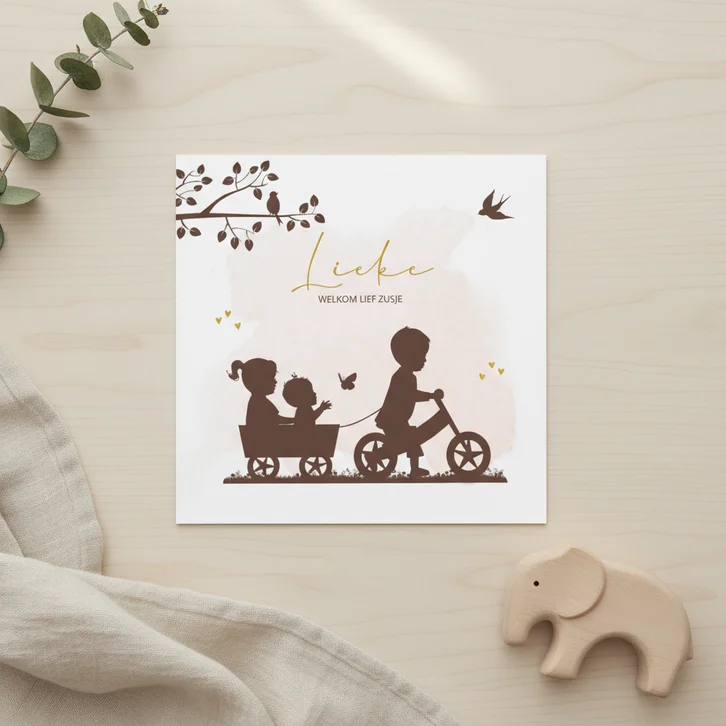 Geboortekaartje fietsje met kar en broer zus en baby meisje