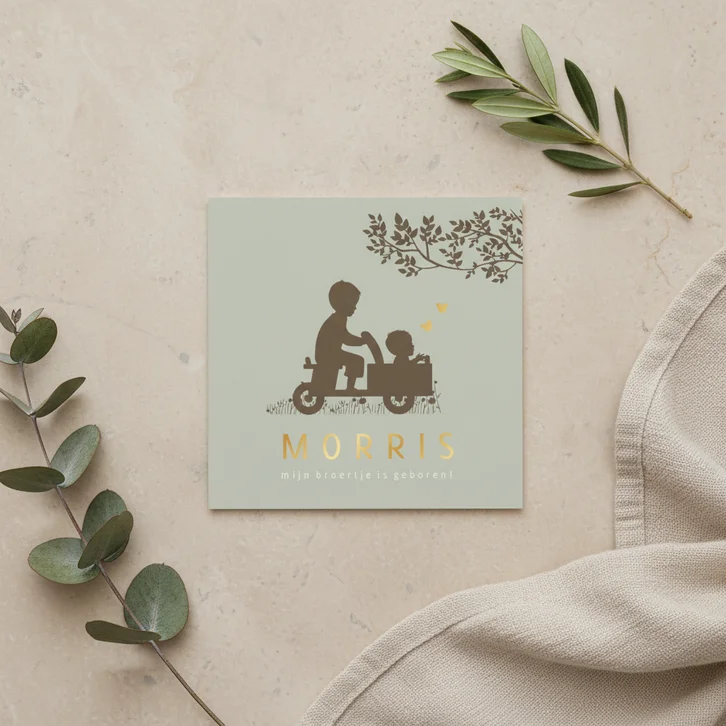 Geboortekaartje houten bakfiets met broertjes