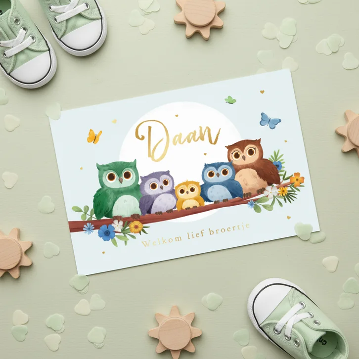 Geboortekaartje jongen derde kindje lente uiltjes vlinders