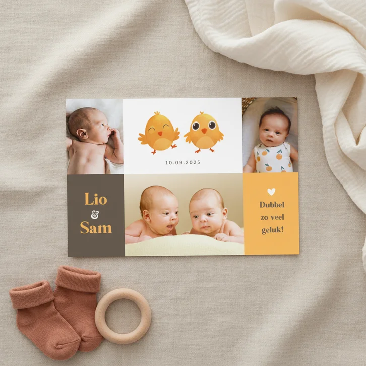 Geboortekaartje lente tweeling kuikentjes modern foto hartje
