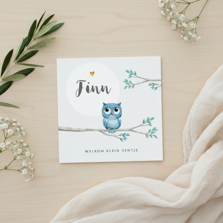 Geboortekaartje lief jongen met geïllustreerd uiltje