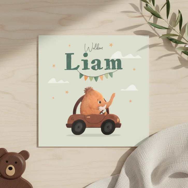 Geboortekaartje mammoet auto stoer lief slinger wolken ster