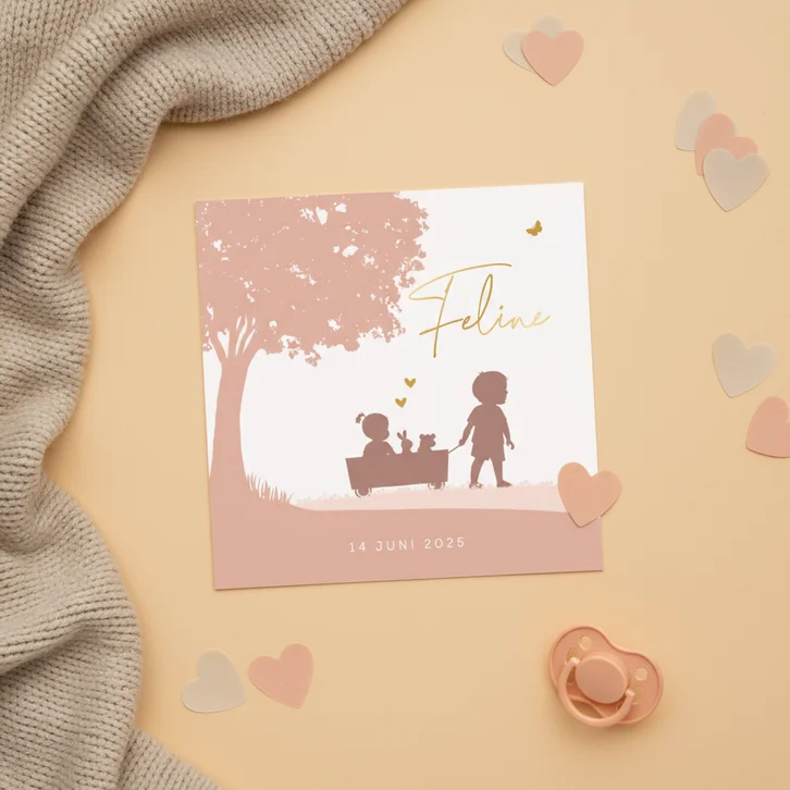 Geboortekaartje meisje in kar met broertje