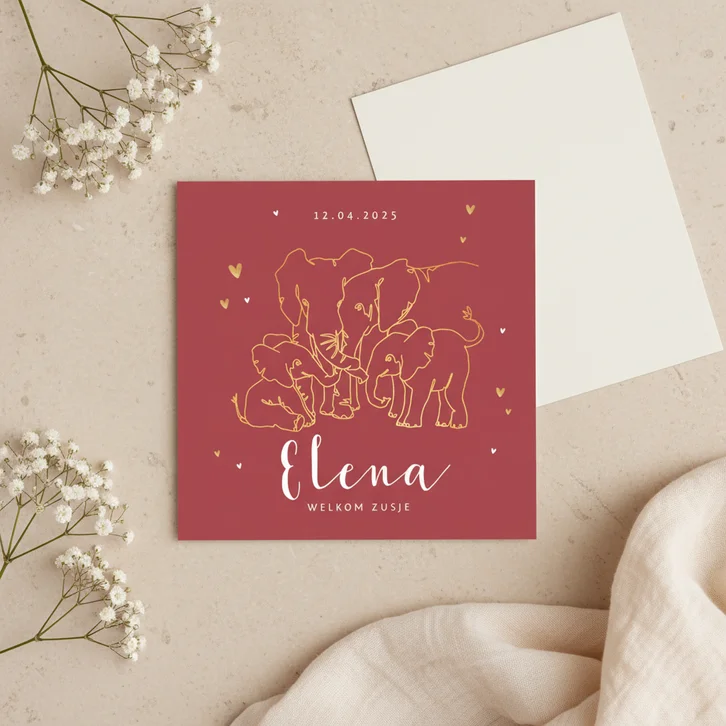 Geboortekaartje meisje olifant dieren zusje broertje goud