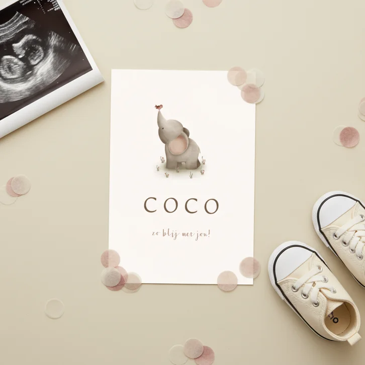 Geboortekaartje met een lief olifantje en roze vogel