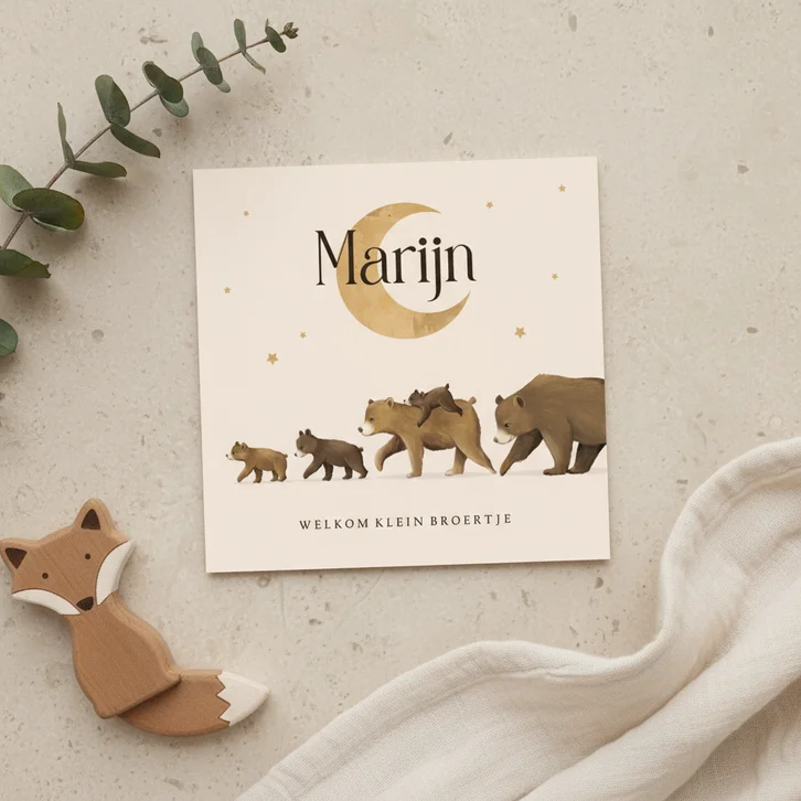 Geboortekaartje origineel beren maan sterren derde kind