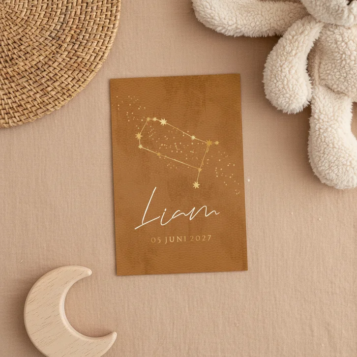 Geboortekaartje sterrenbeeld tweeling goud