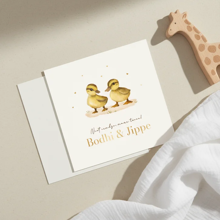 Geboortekaartje tweeling eendjes lief goud hartjes