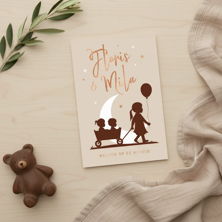 Geboortekaartje tweeling silhouet maan bolderkar zus