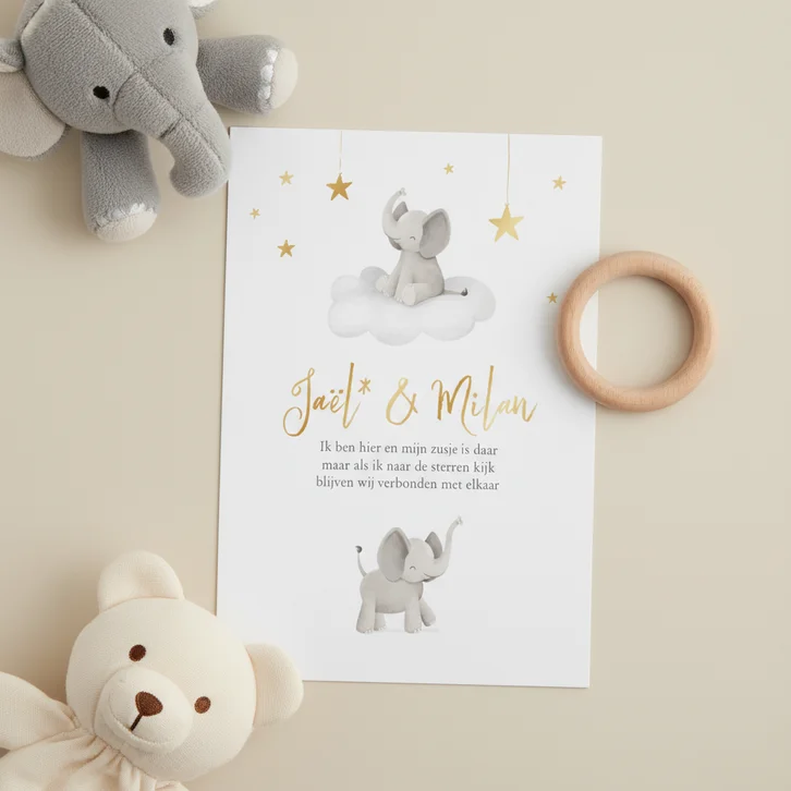 Geboortekaartje unisex olifantjes sterren hemel tweeling