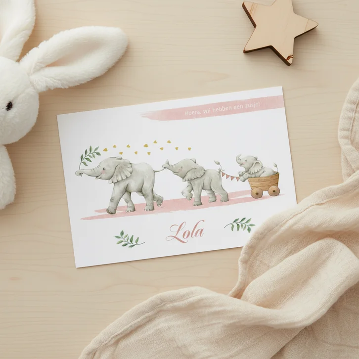 Geboortekaartje zusje met drie vrolijke olifantjes
