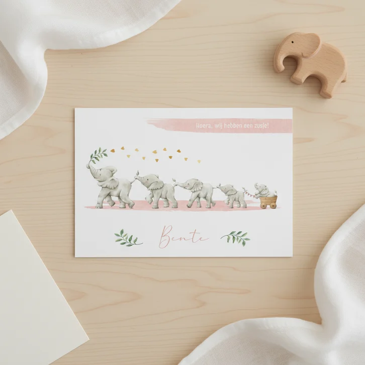 Geboortekaartje zusje vijf olifantjes op een rij