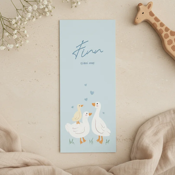 Langwerpig blauw geboortekaartje met schattige gansjes