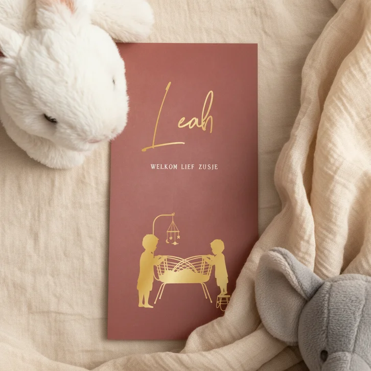 Langwerpig geboortekaartje zusje met 2 grote broers