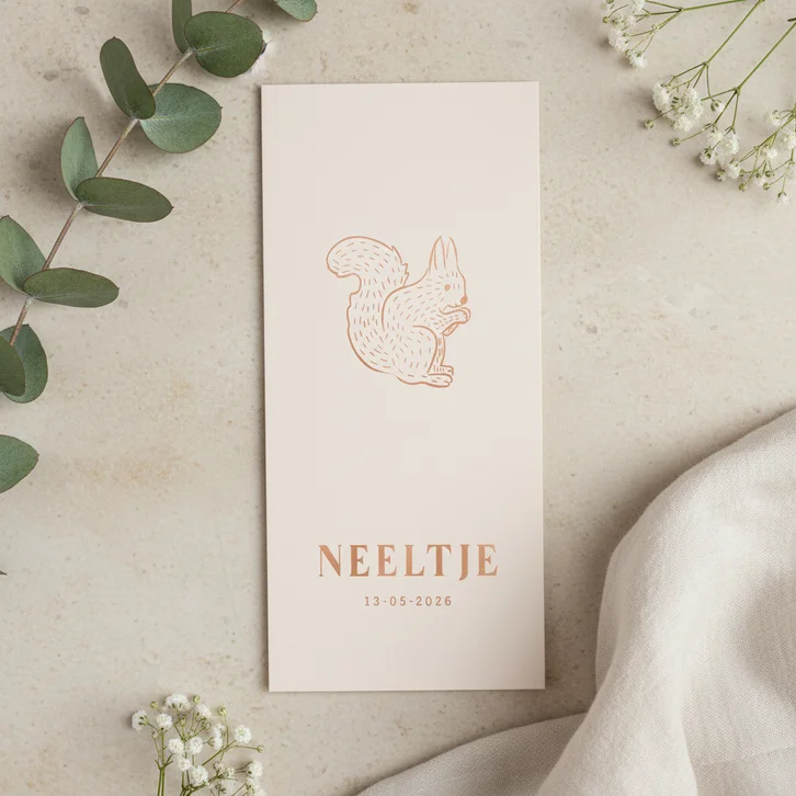 Lief beige geboortekaartje met eekhoorntje 