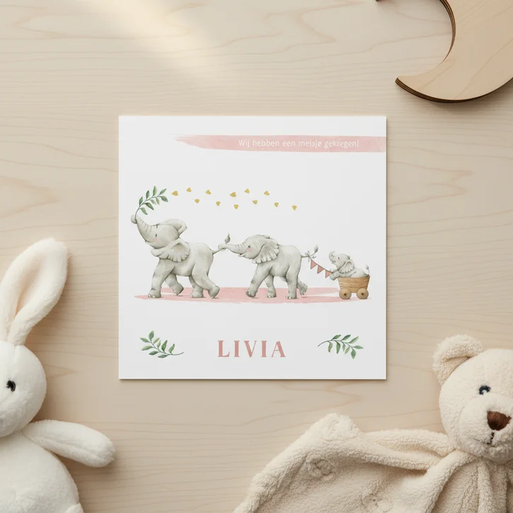 Lief en vrolijk geboortekaartje meisje met olifantjes
