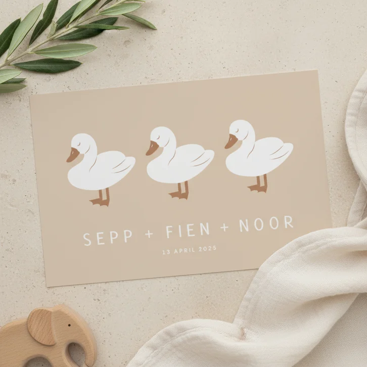 Lief geboortekaartje met drie zwaantjes drieling