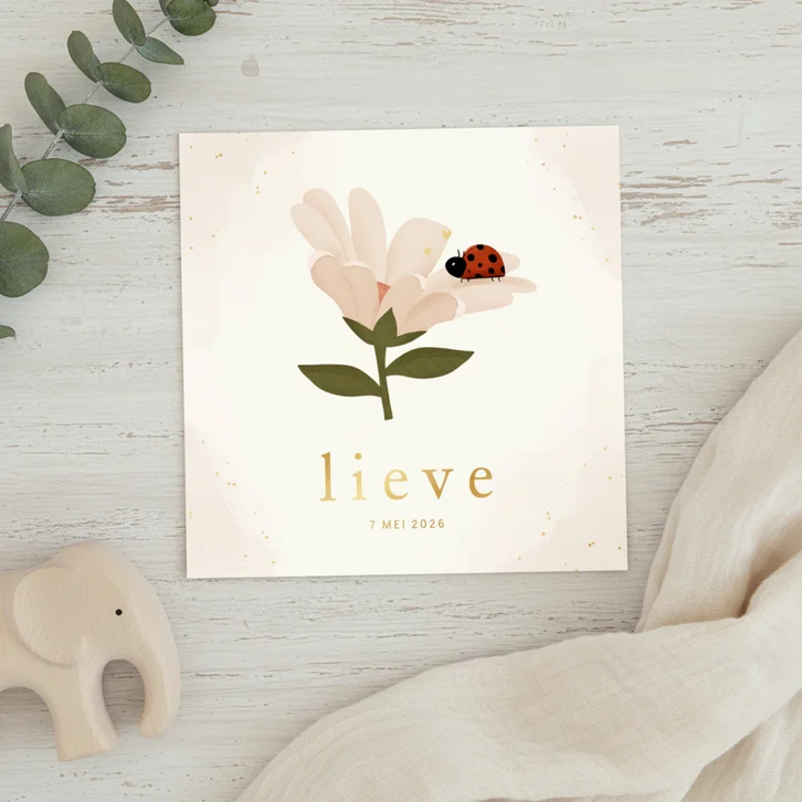 Lief geboortekaartje met een bloem en lieveheersbeestje