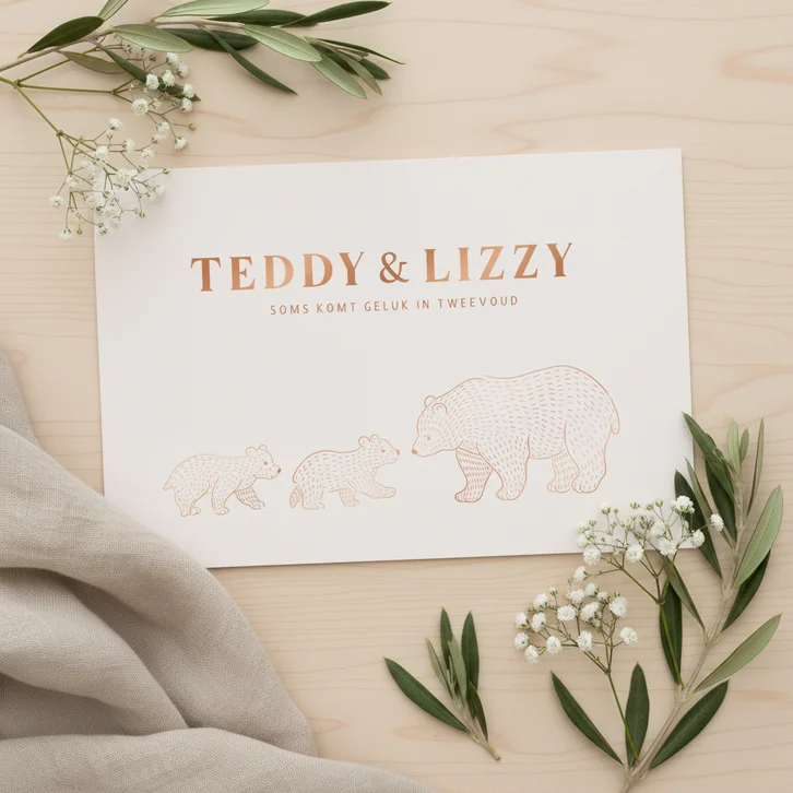 Lief geboortekaartje met illustratie van beertjes tweeling