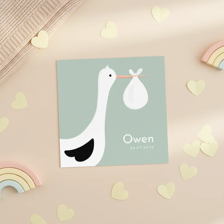 Lief geboortekaartje met ooievaar en baby jongen