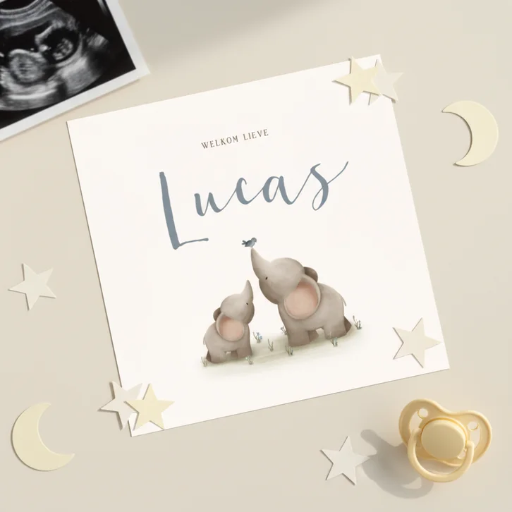 Lief geboortekaartje voor een jongen met twee olifantjes