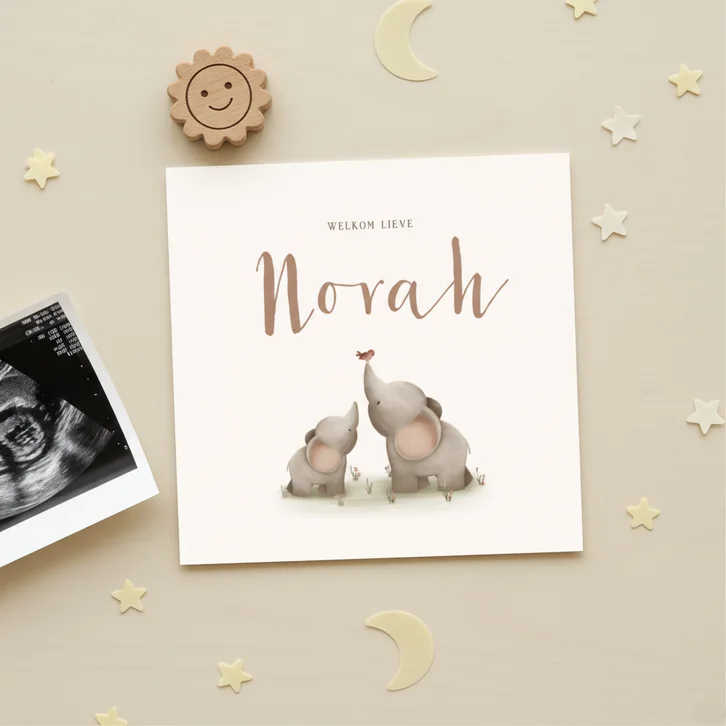 Lief geboortekaartje voor een meisje met twee olifantjes