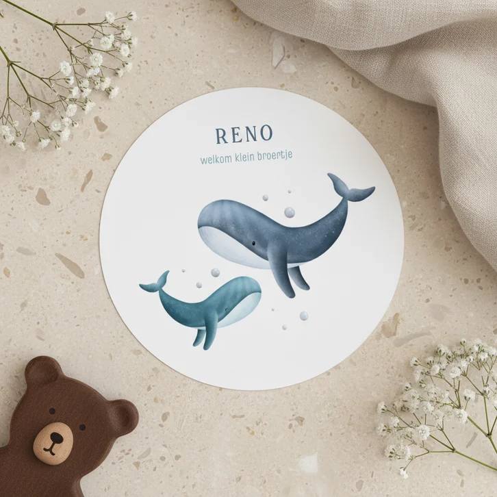 Lief rond geboortekaartje broertje met 2 walvissen 