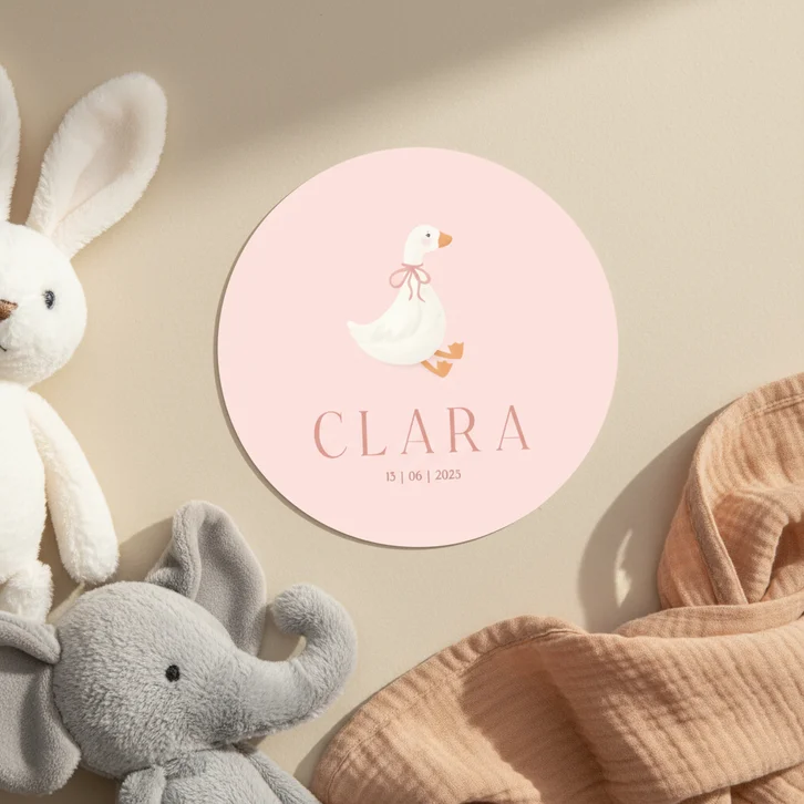 Lief roze geboortekaartje rond met schattig gansje
