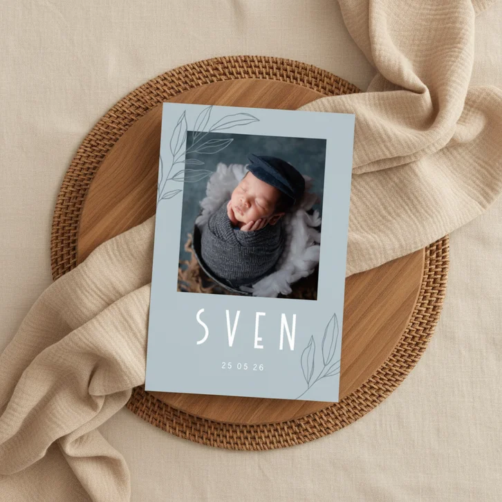 Minimalistisch geboortekaartje met takje en foto