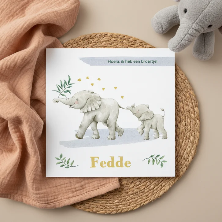 Olifantjes op avontuur op geboortekaartje broertje  