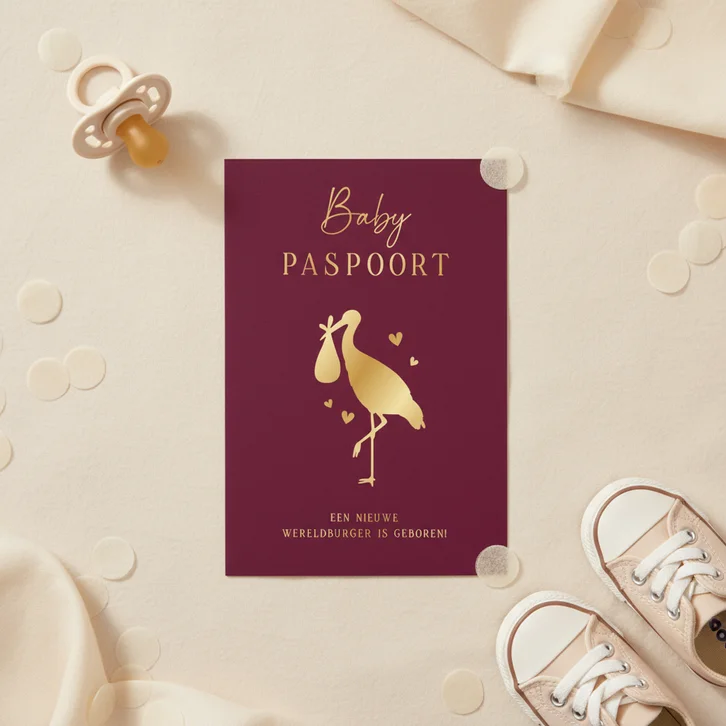 Origineel geboortekaartje paspoort met goudfolie ooievaar