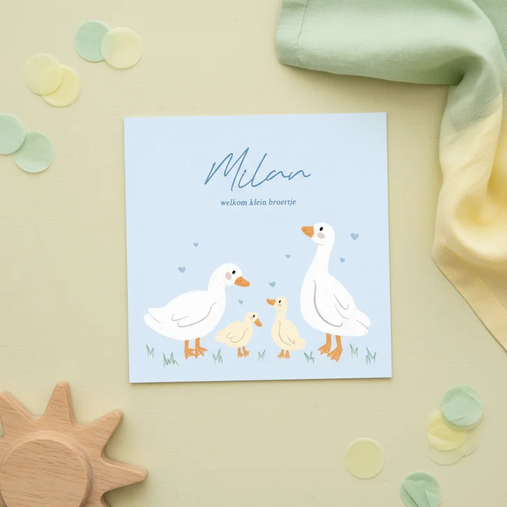 Schattige blauwe geboortekaartjes met gansjes voor broertje