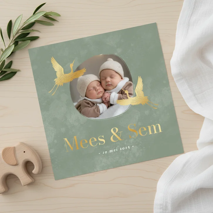 Stijlvol geboortekaartje tweeling met foto groen met vogels