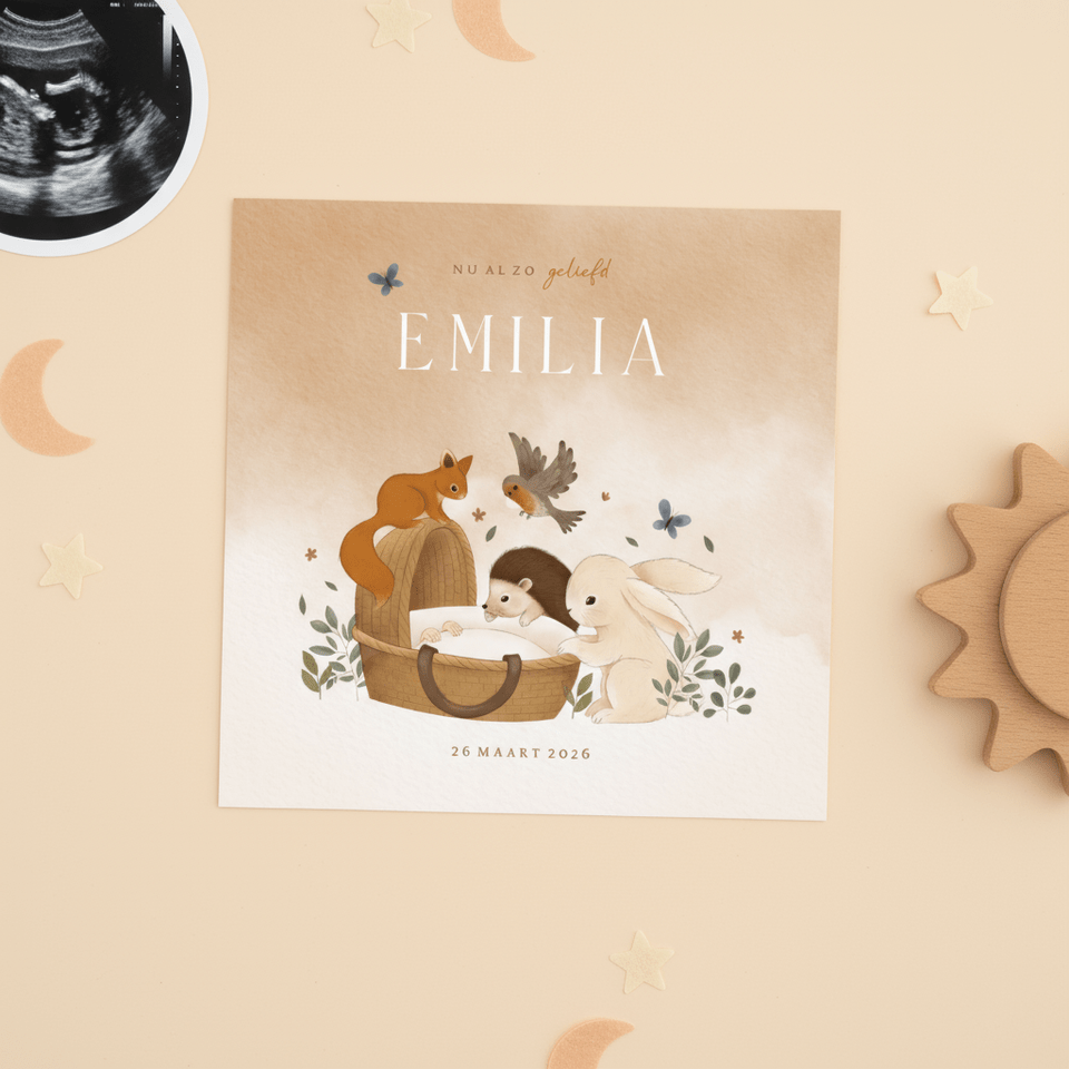 Geboortekaartje bosdieren konijn egel eekhoorn vogel wiegje