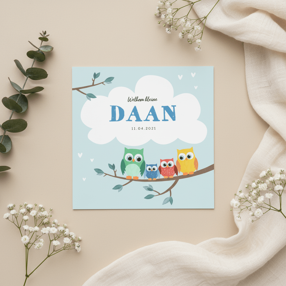 Geboortekaartje broertje uiltjes op een takje met wolkje