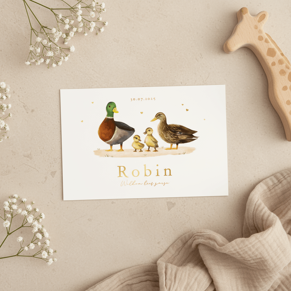 Geboortekaartje broertje zusje eendjes familie gezin