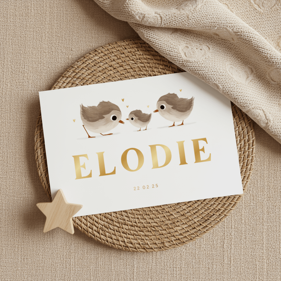 Geboortekaartje derde broertje of zusje met vogeltjes